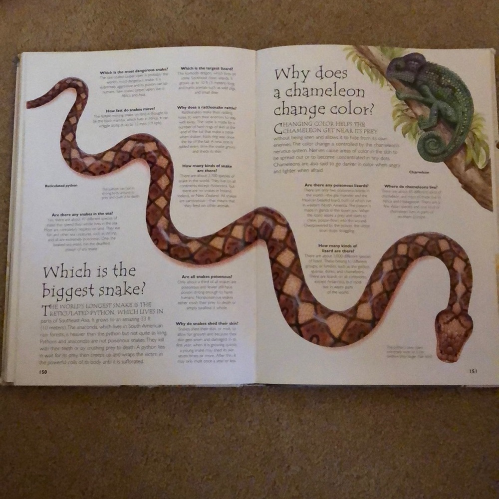 Book - Picture 3 of 7